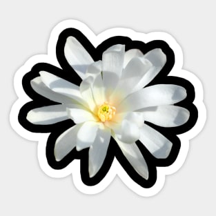 white flower Sticker